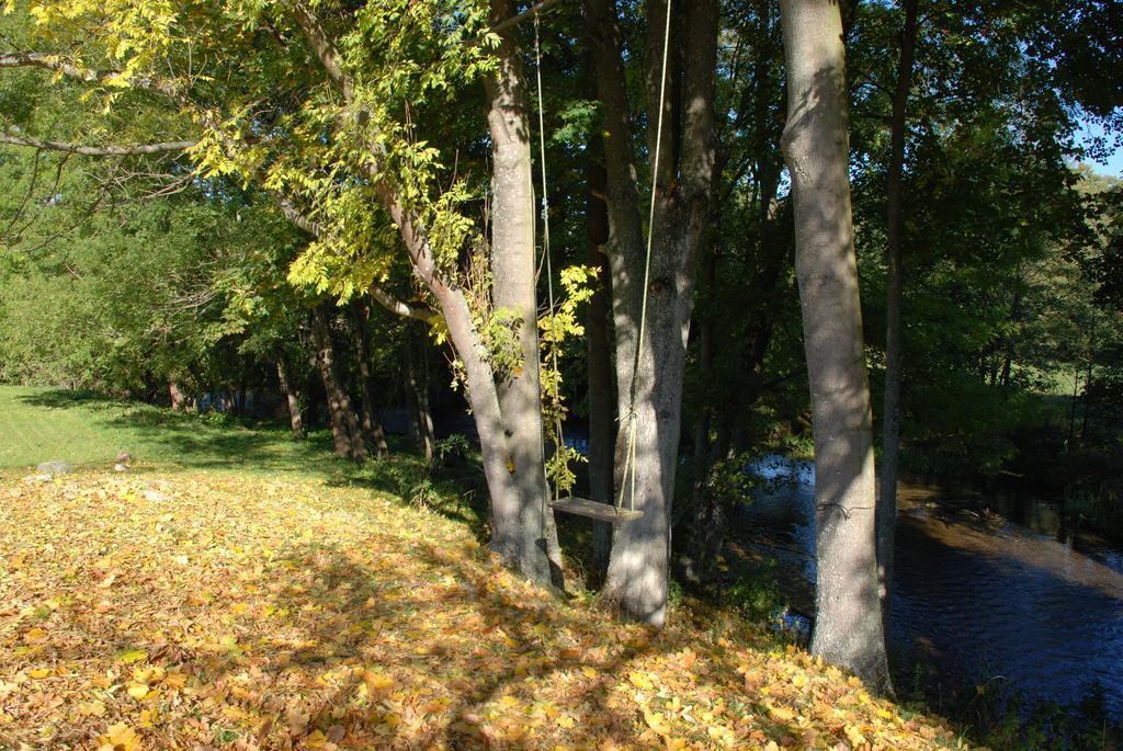 Natura Apartamenty Swaderki Exteriér fotografie