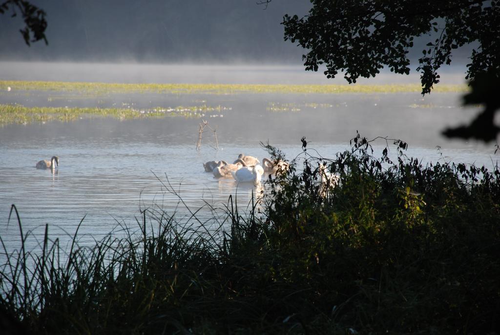 Natura Apartamenty Swaderki Exteriér fotografie