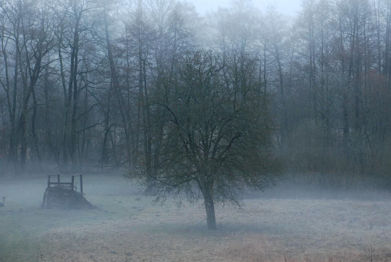 Natura Apartamenty Swaderki Exteriér fotografie
