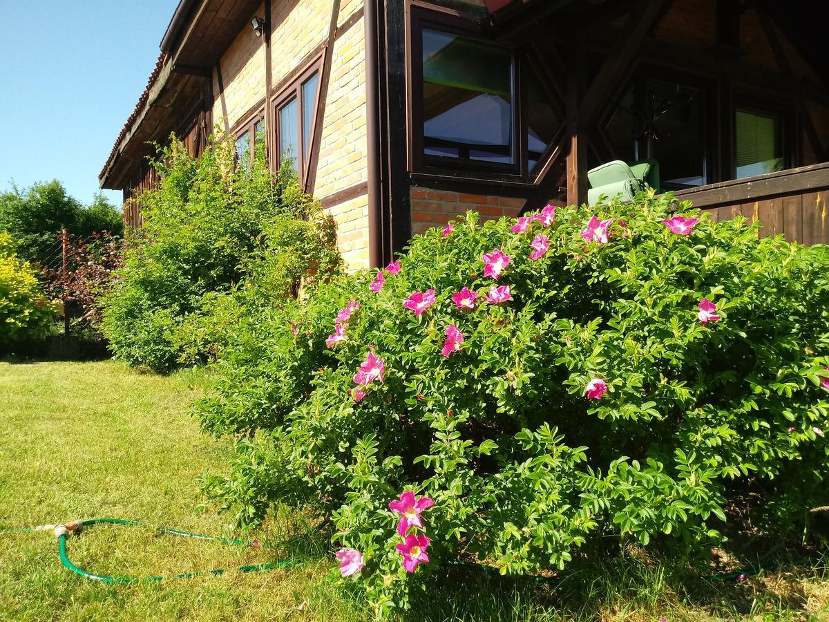 Natura Apartamenty Swaderki Exteriér fotografie