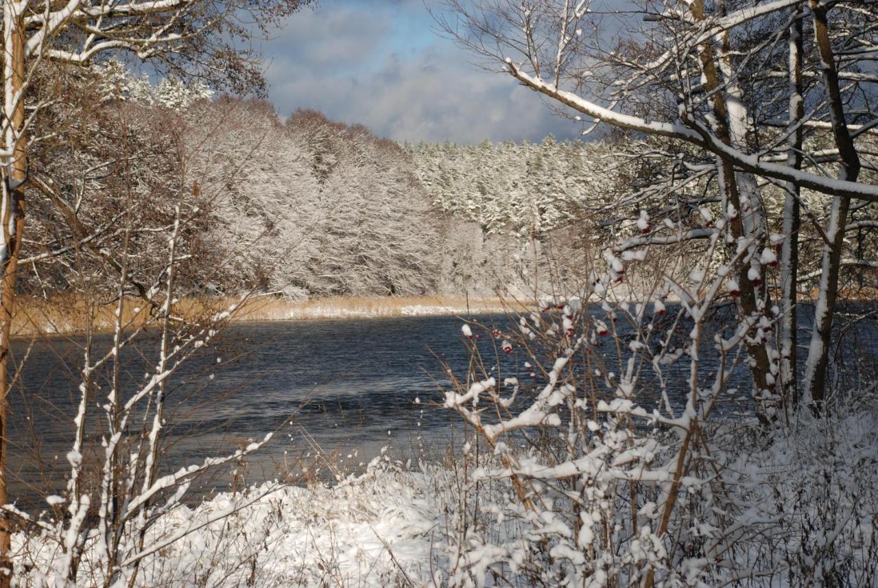 Natura Apartamenty Swaderki Exteriér fotografie